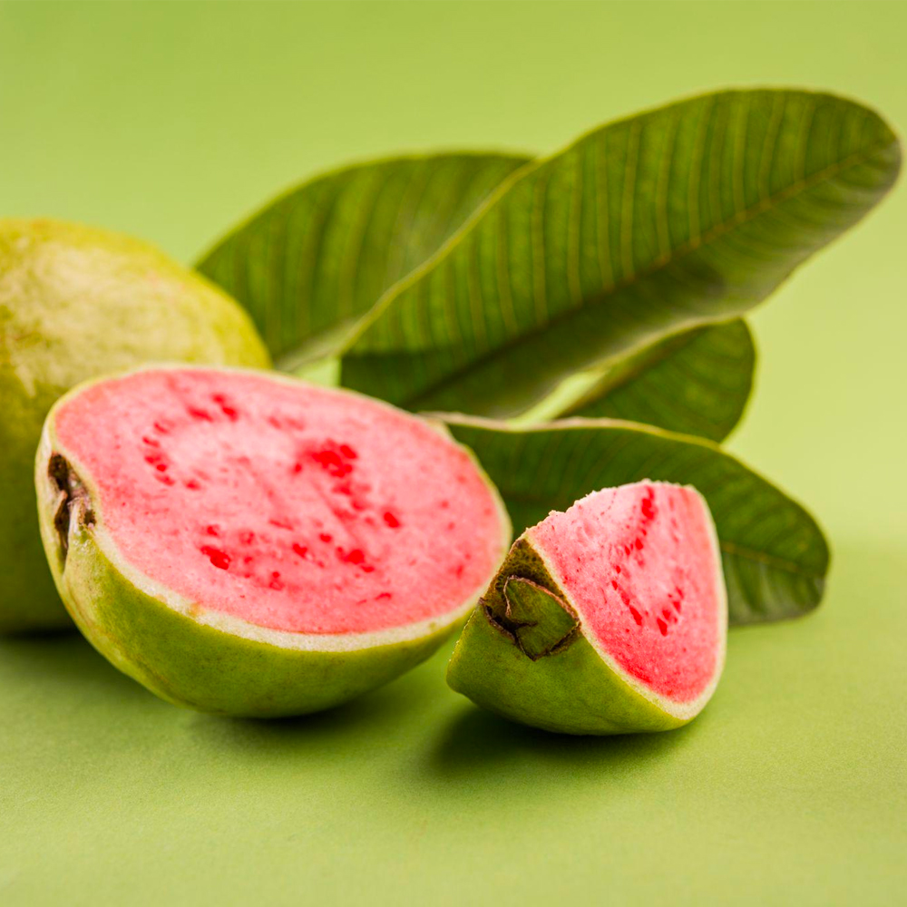 Guava Ruby Red Flesh - Image 2